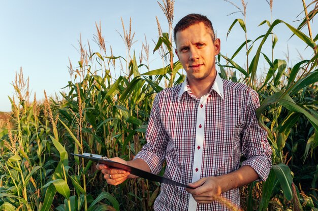 Jovem agrônomo segura um gráfico de papel nas mãos e analisa a safra de milho