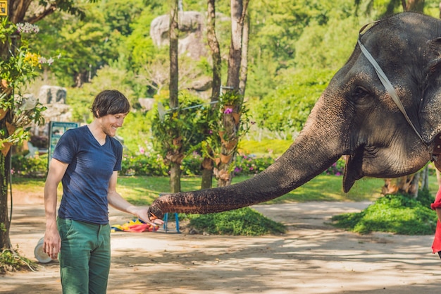 Jovem alimentando elefante no zoológico