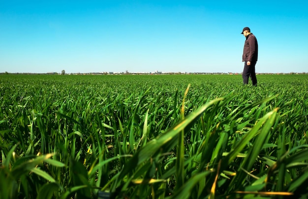 Jovem andando em campo verde Agricultor bonito