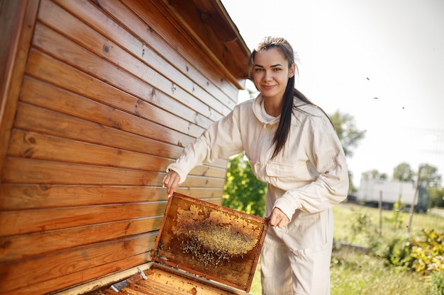 Jovem apicultor feminino retira da colméia uma moldura de madeira com favo de mel. colete mel. conceito de apicultura.