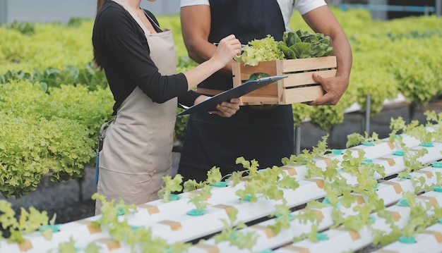 Jovem asiática e agricultor sênior trabalhando juntos na fazenda de vegetais de salada hidropônica orgânica Proprietário moderno de horta usando tablet digital inspeciona a qualidade da alface no jardim com efeito de estufa