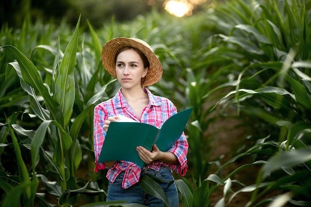 Jovem bonito engenheiro agrícola em pé no campo de milho com tablet no início do verão.