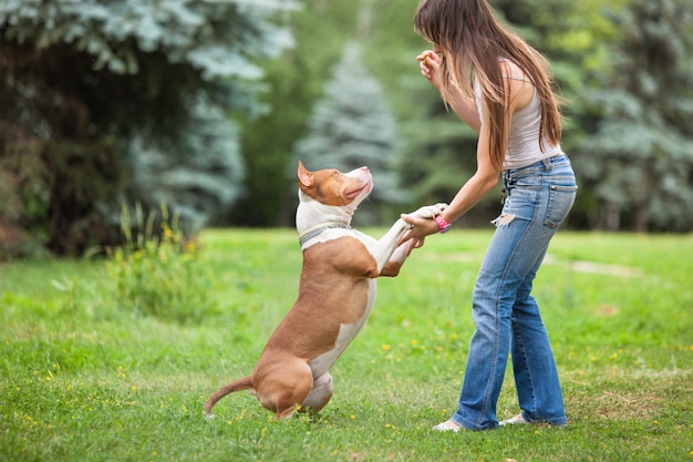 Jovem brincando com cachorro ao ar livre