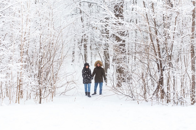 Jovem casal caminhando em um parque nevado. Inverno.