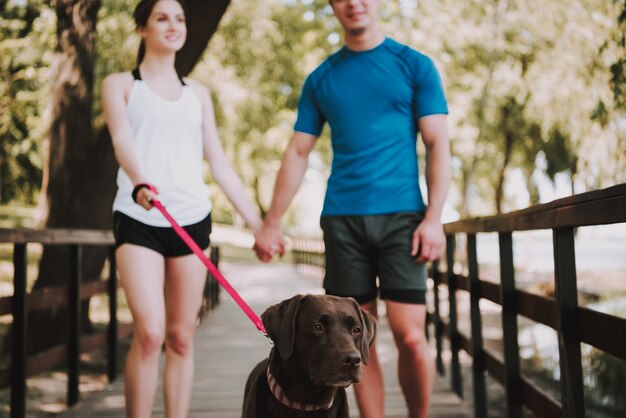 Jovem casal caucasiano está andando com seu cachorro