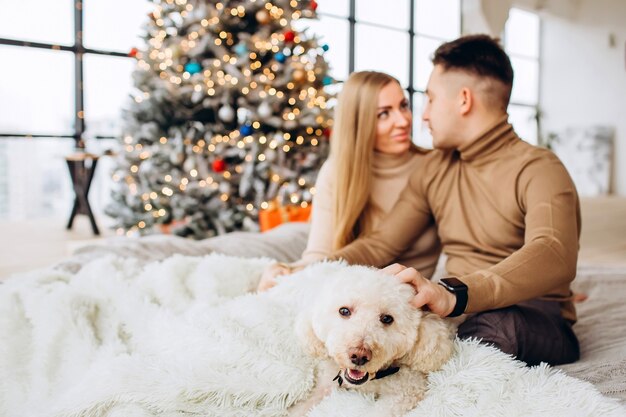 Jovem casal com cachorro e árvore de Natal,