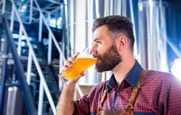 Jovem cervejeiro vestindo um avental de couro está testando cerveja em uma cervejaria moderna