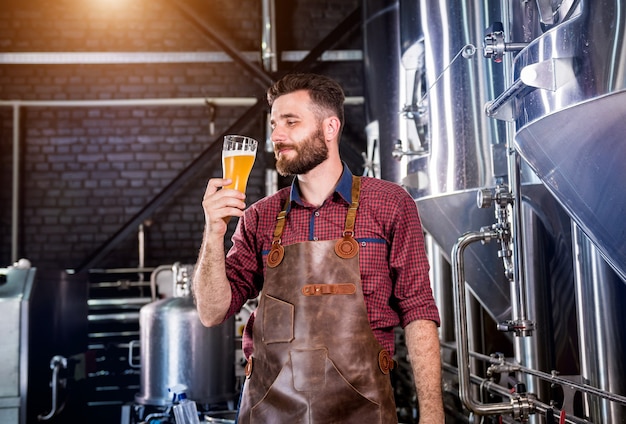 Jovem cervejeiro vestindo um avental de couro está testando cerveja em uma cervejaria moderna