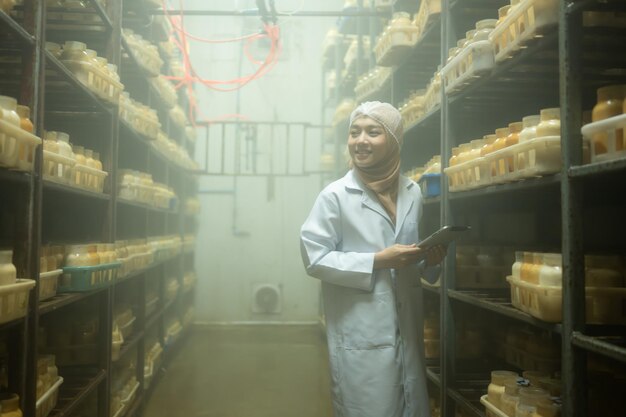 Jovem cientista muçulmana asiática fazendo pesquisas em uma fábrica de cogumelos examinando o agente de fermentação de cogumelos em uma sala estéril e com temperatura controlada