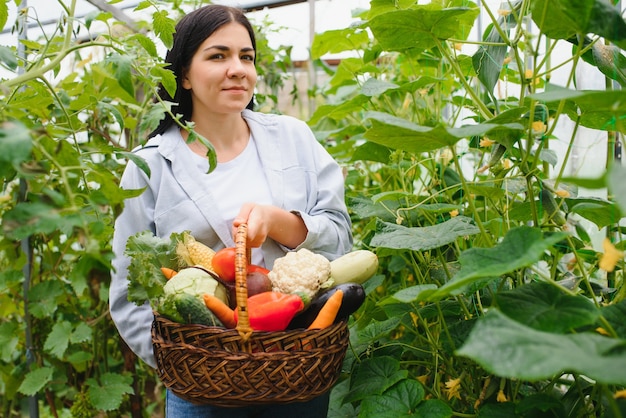 Jovem colhendo vegetais da estufa