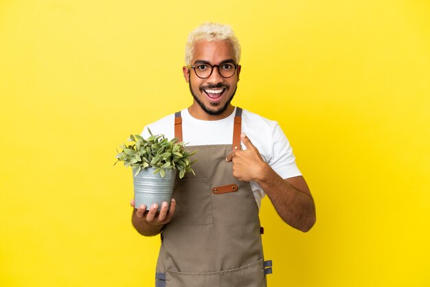 Jovem colombiano segurando uma planta isolada em um fundo amarelo com expressão facial surpresa