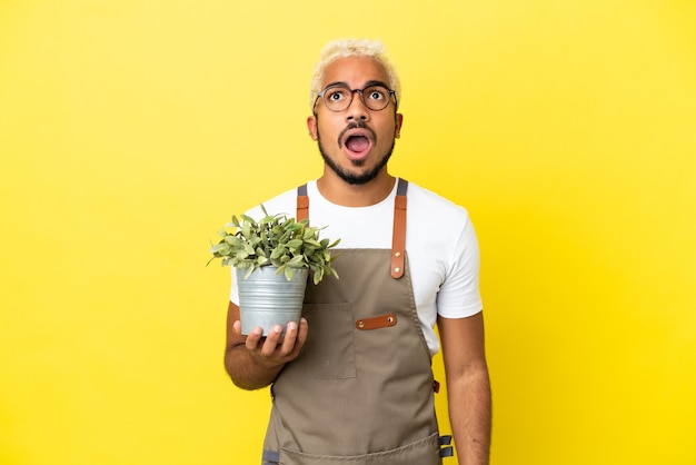 Jovem colombiano segurando uma planta isolada em um fundo amarelo, olhando para cima e com expressão de surpresa