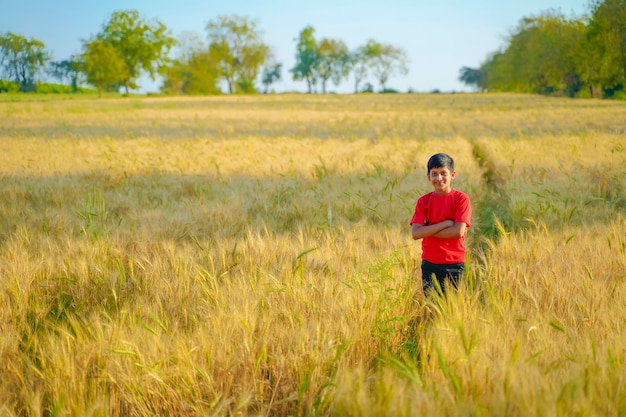 Jovem, criança indiana, tocando, em, campo trigo, rural, índia