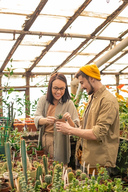 Jovem cultivadora asiática sorridente de óculos verificando uma pequena planta no vaso com sua assistente na estufa