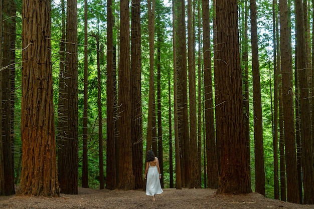 Jovem de vestido branco andando na floresta