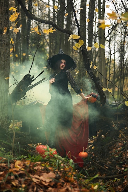 Jovem de vestido preto com chapéu de bruxa e abóbora laranja colocada na floresta, conceito de halloween. tema de terror.