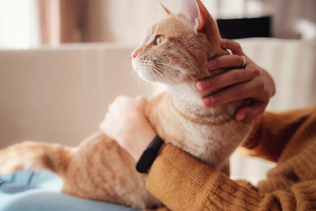 Jovem descansando com animal de estimação no sofá em casa