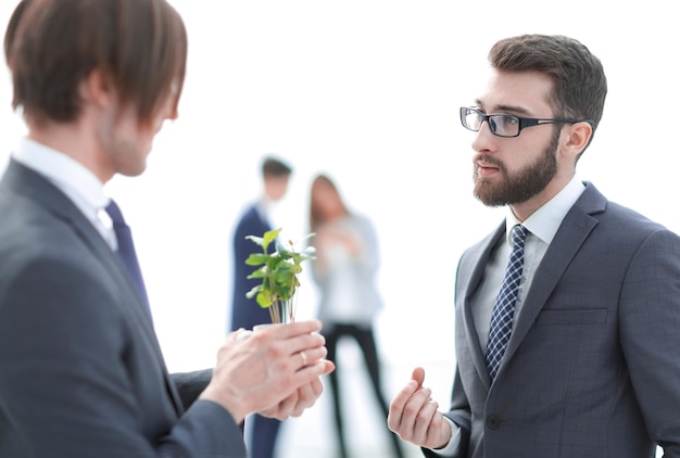 Jovem empresário com broto verde jovem