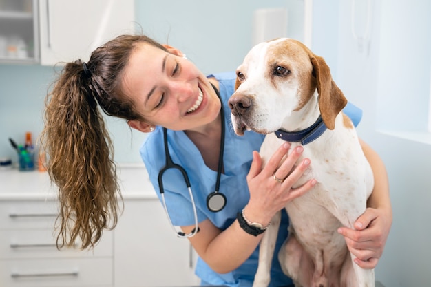 Jovem enfermeira veterinária feliz sorrindo enquanto brincava com um cachorro.