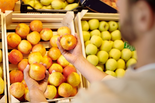 Jovem escolhendo maçãs frescas e maduras amarelas enquanto espera na vitrine de frutas no supermercado