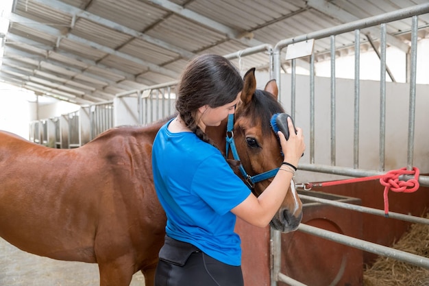 Jovem escovando cavalo no estábulo