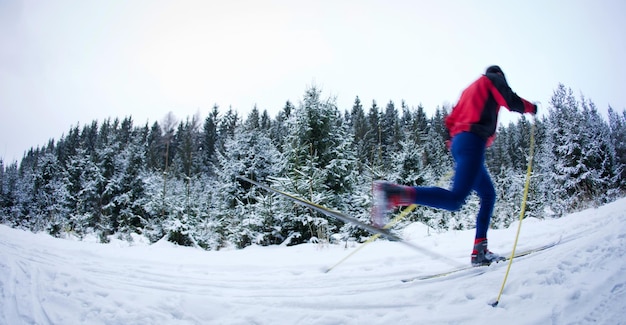 Jovem esquiador de cross-country em uma trilha de floresta coberta de neve imagem tonada de cor