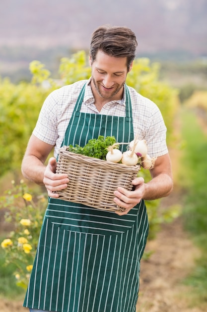 Jovem, feliz, agricultor, segurando, cesta, legumes