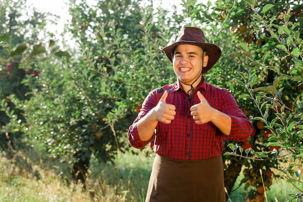 Jovem feliz no jardim coletando maçãs maduras