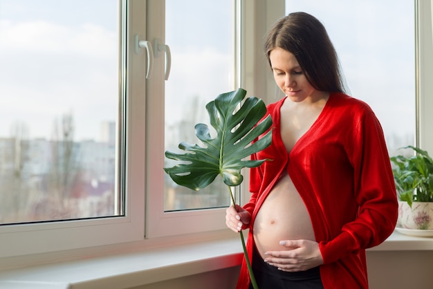 Jovem grávida bonita com barriga aberta