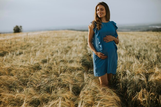 Jovem grávida de vestido azul no campo de verão