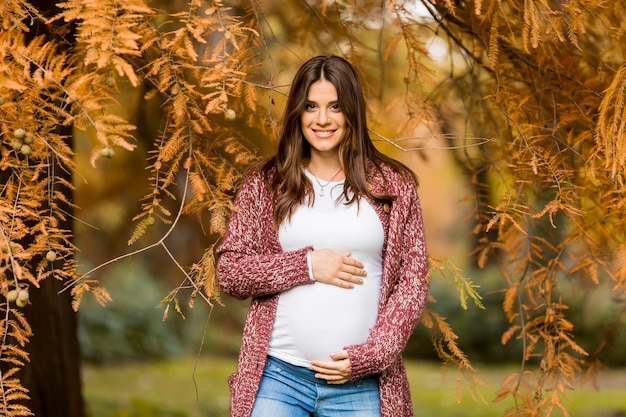 Jovem grávida no parque de outono