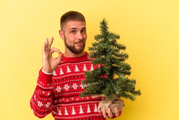 Jovem homem caucasiano comprando arvore de Natal isolada em um fundo amarelo alegre e confiante, mostrando o gesto de ok.