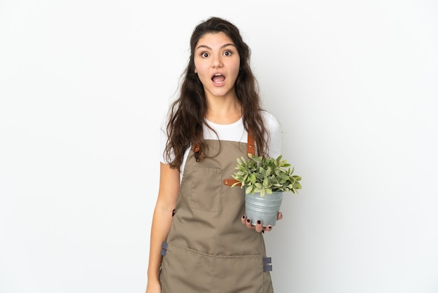 Jovem jardineira russa segurando uma planta isolada com expressão facial surpresa