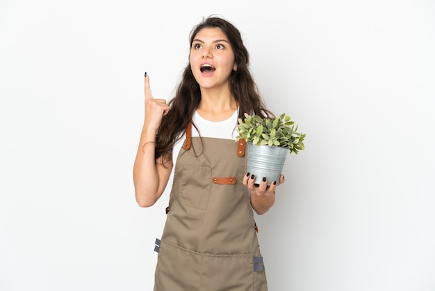 Jovem jardineira russa segurando uma planta isolada pensando numa ideia apontando o dedo para cima