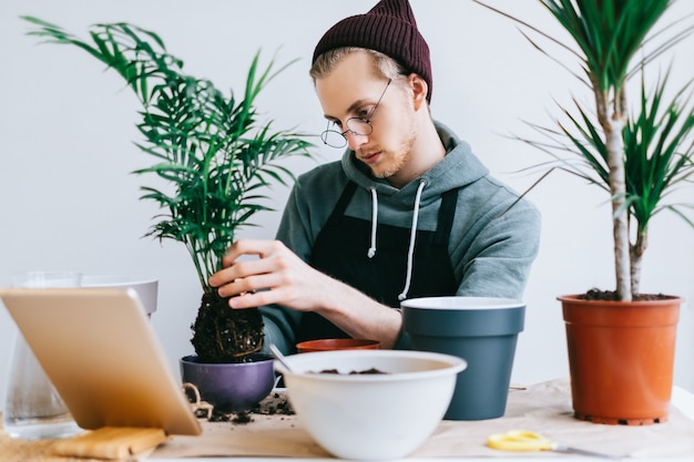 Jovem jardineiro em óculos, transplantando plantas em vasos na mesa de madeira branca e usando o computador tablet