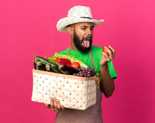 Jovem jardineiro melindroso, cara afro-americana, usando chapéu de jardinagem, segurando uma cesta de vegetais e olhando para o tomate na mão isolado na parede rosa