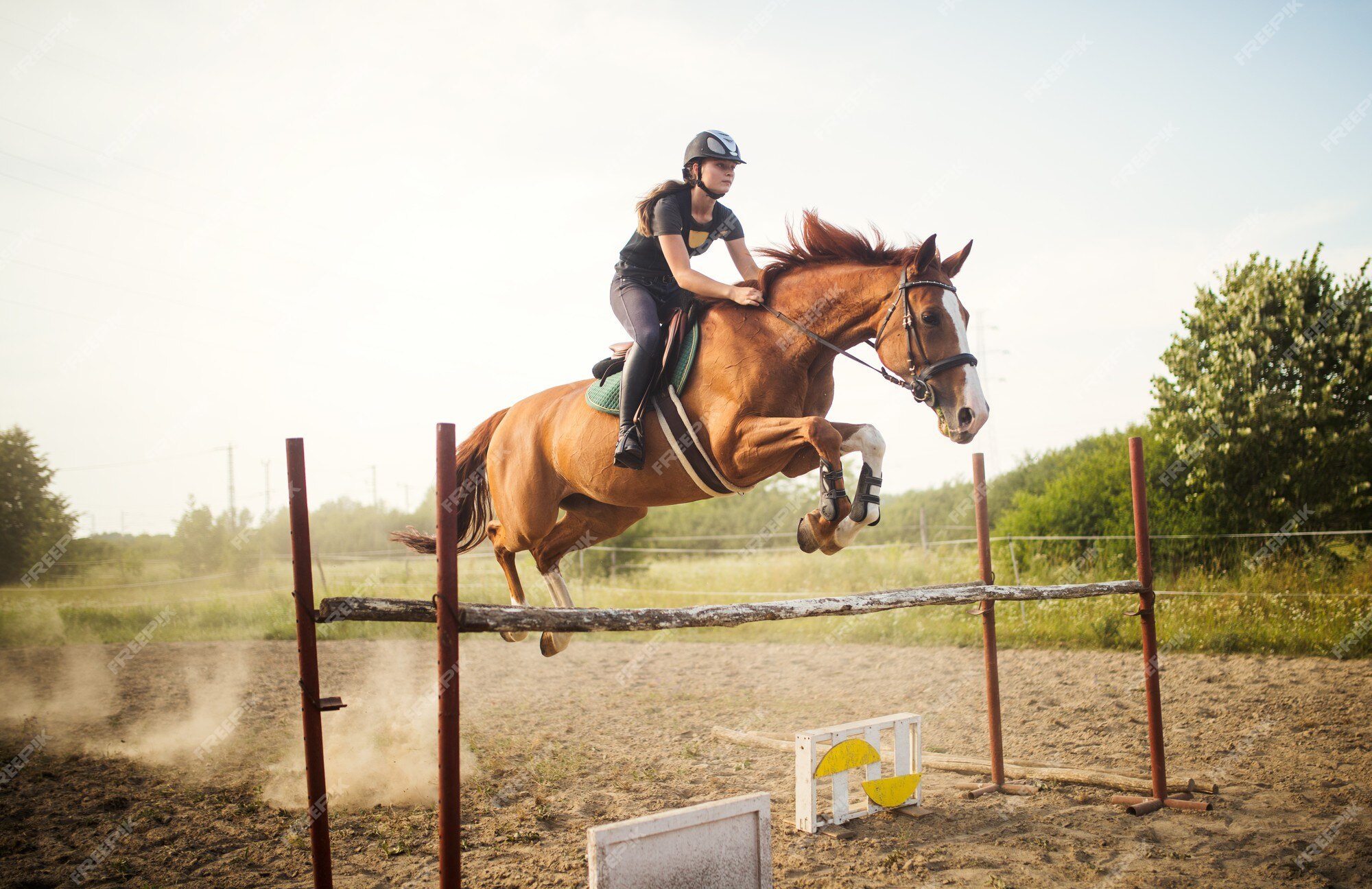 Jockey Com Seu Cavalo Pulando Sobre Um Obstáculo Imagem de Stock