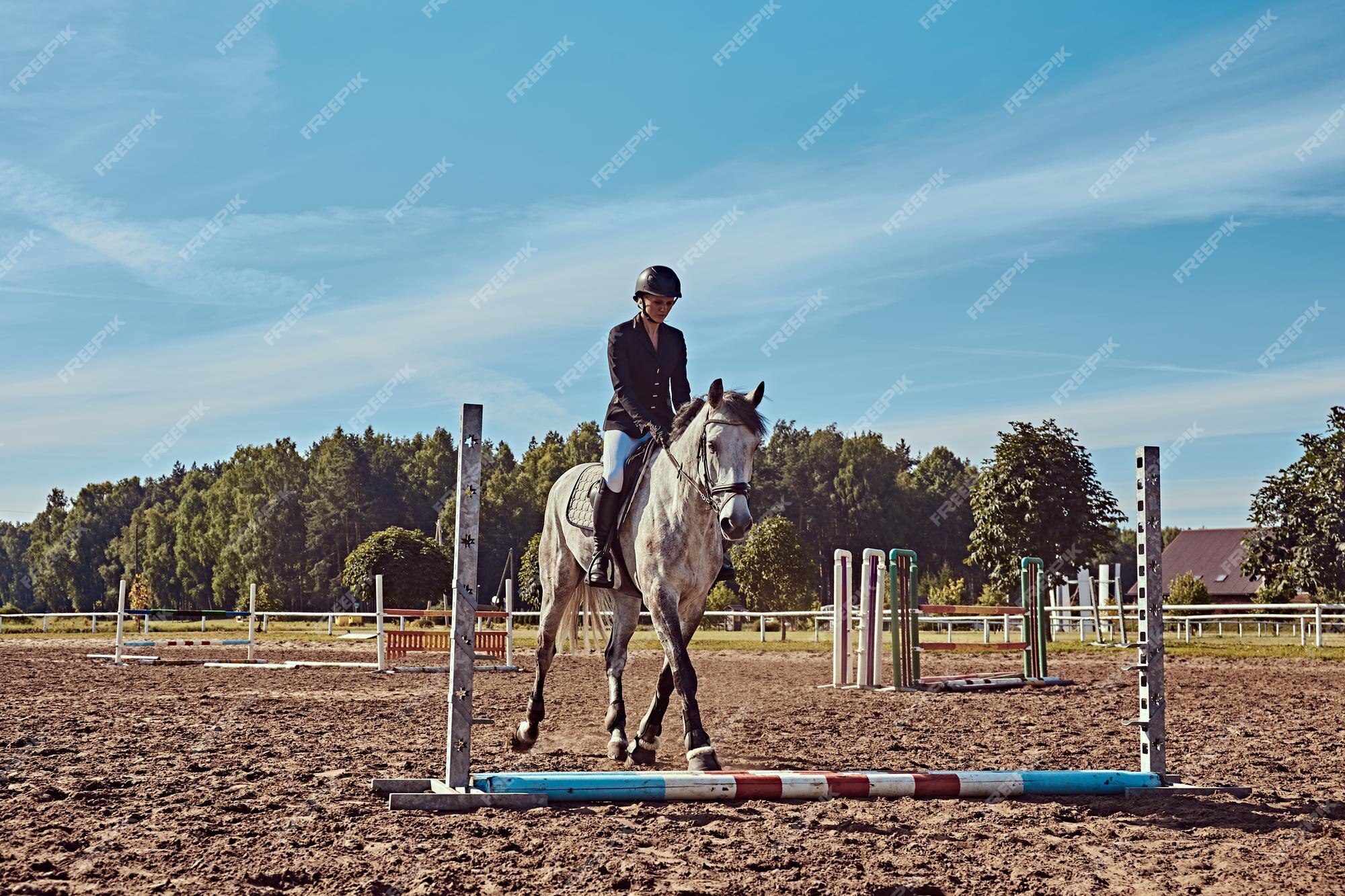 Jockey Com Seu Cavalo Pulando Sobre Um Obstáculo Pulando Sobre O