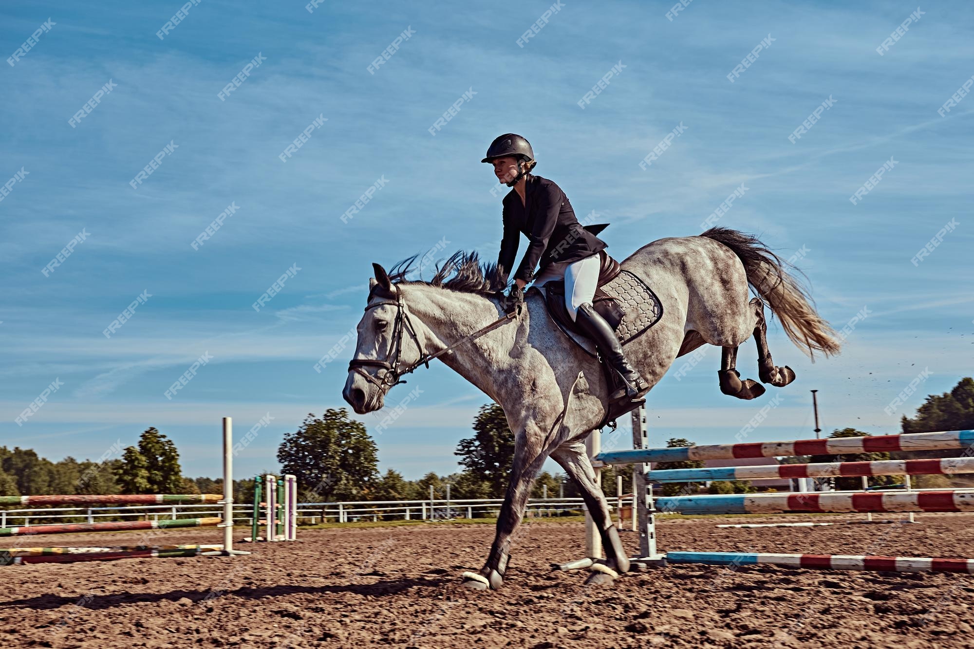 Foto de Cavalo Cinza Dapple Pulando Sobre Obstáculo e mais fotos