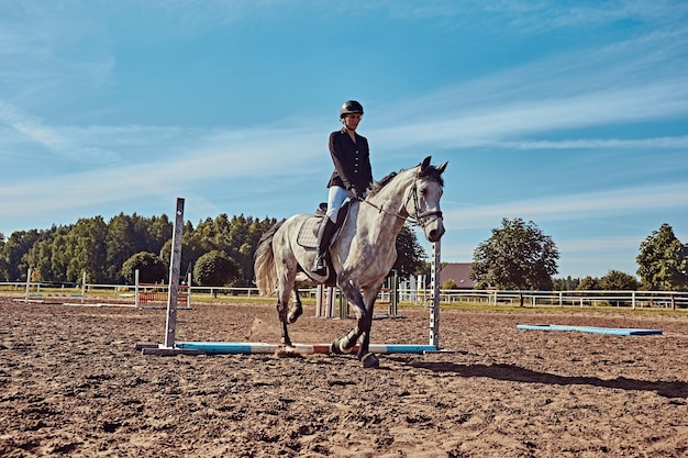 Jovem jóquei feminino no cavalo cinza malhado pulando obstáculo na arena aberta.