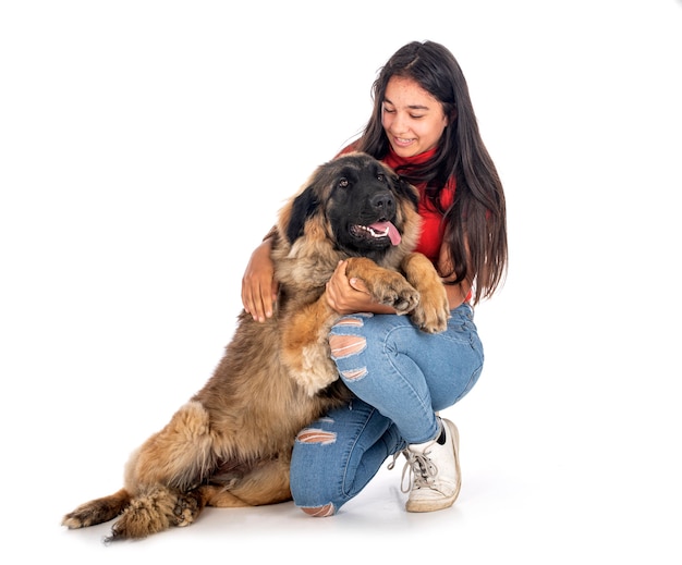 Jovem leonberger e mulher na frente de um fundo branco