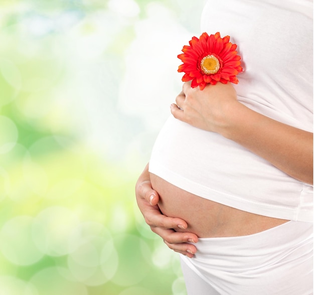 Jovem linda mulher grávida segurando flor vermelha