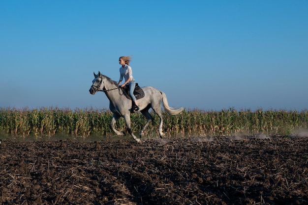 Jovem loira andando a cavalo no campo durante o pôr do sol