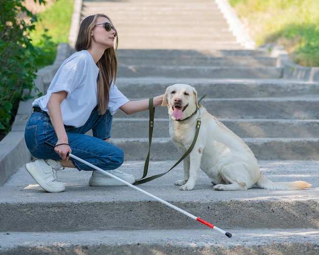 Jovem loira cega acariciando um cão-guia em um passeio no parque mulher com bengala tátil nas escadas