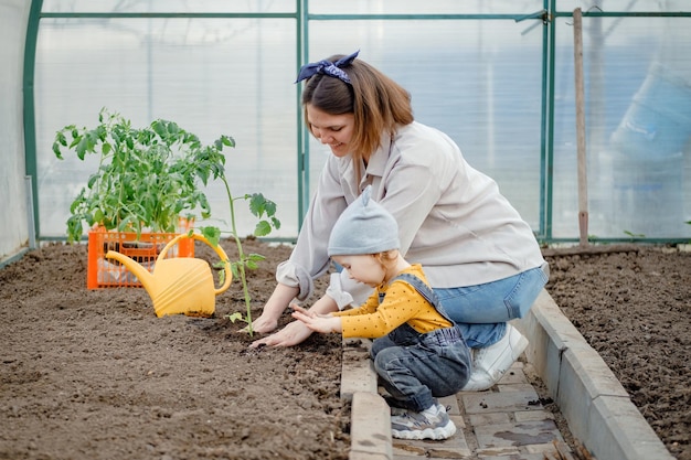 Jovem mãe e bebê plantando mudas de tomate Cultivo de vegetais em estufa Trabalho de jardim de primavera