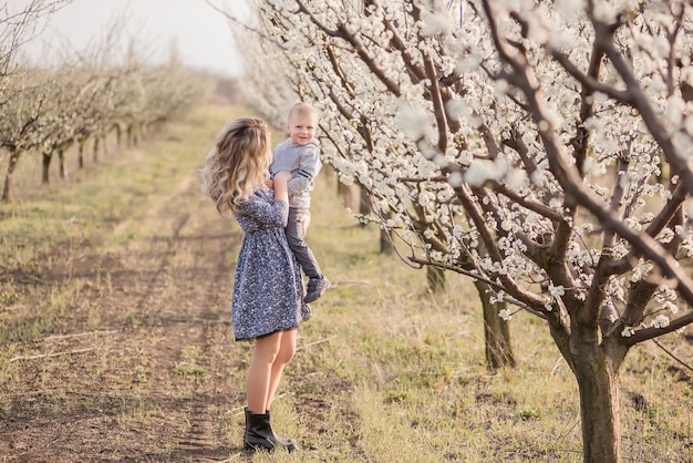 Jovem mãe loira com seu filho pequeno caminhando pela mão entre os florescentes pomares de maçãs