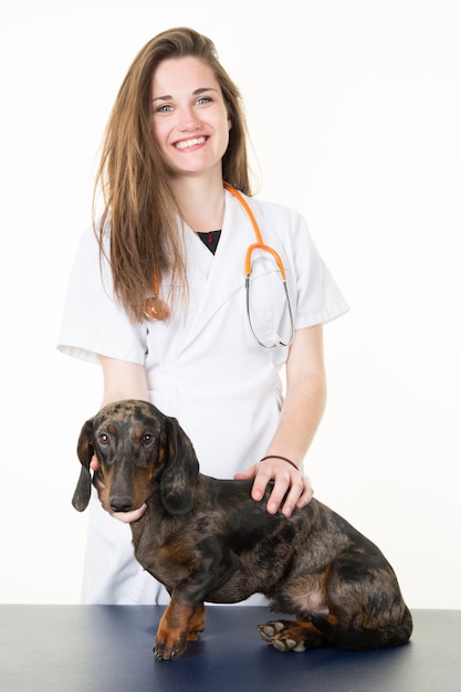 Jovem médica, verificando o cão na clínica veterinária