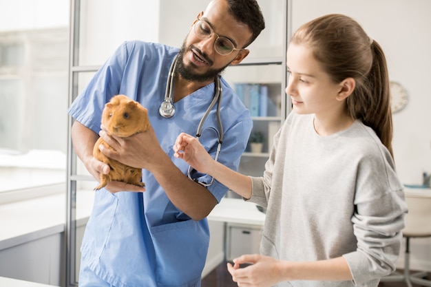 Jovem médico de clínicas veterinárias, explicando a menina como cuidar da saúde da cobaia