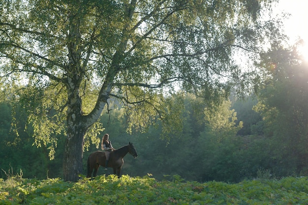 Jovem mulher andando a cavalo em uma bela paisagem florestal luz solar