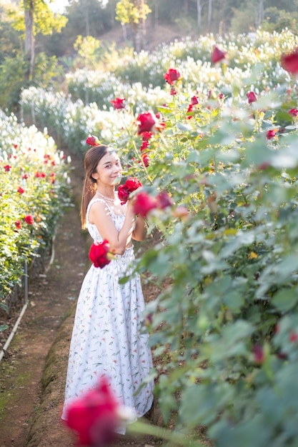 Jovem mulher asiática vestindo um vestido branco posa com uma rosa no jardim de rosas